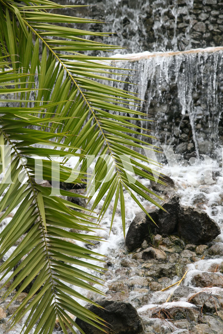 Green tropical waterfall with palm leaves and rocks wallpaper