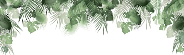 Jungle Dream 2023 - W 1