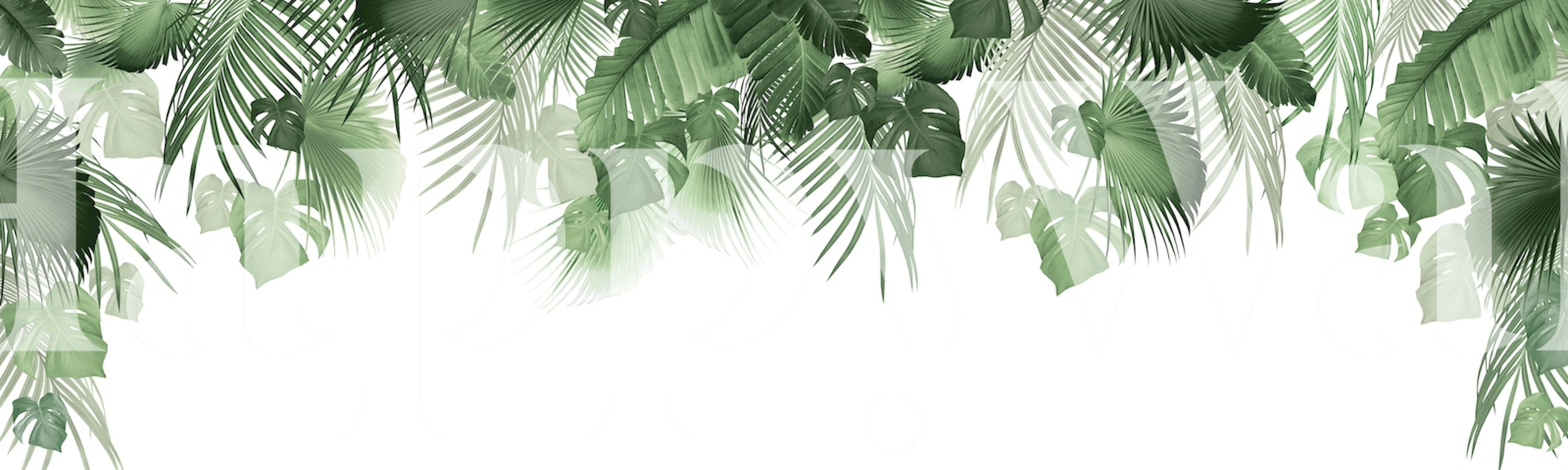 Fototapeta s tropickými listy pro poklidnou atmosféru pokoje