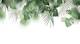 Jungle Dream 2023 - W 2