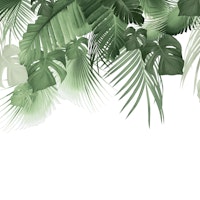 Jungle Dream 2023 - W 2 tapetit