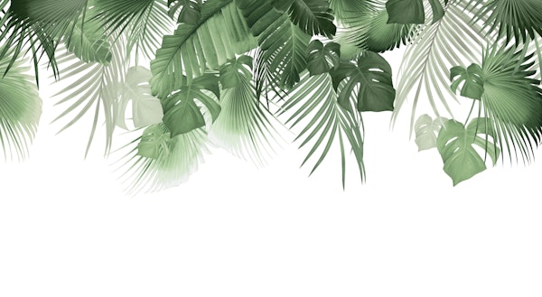 Jungle Dream 2023 - W 2