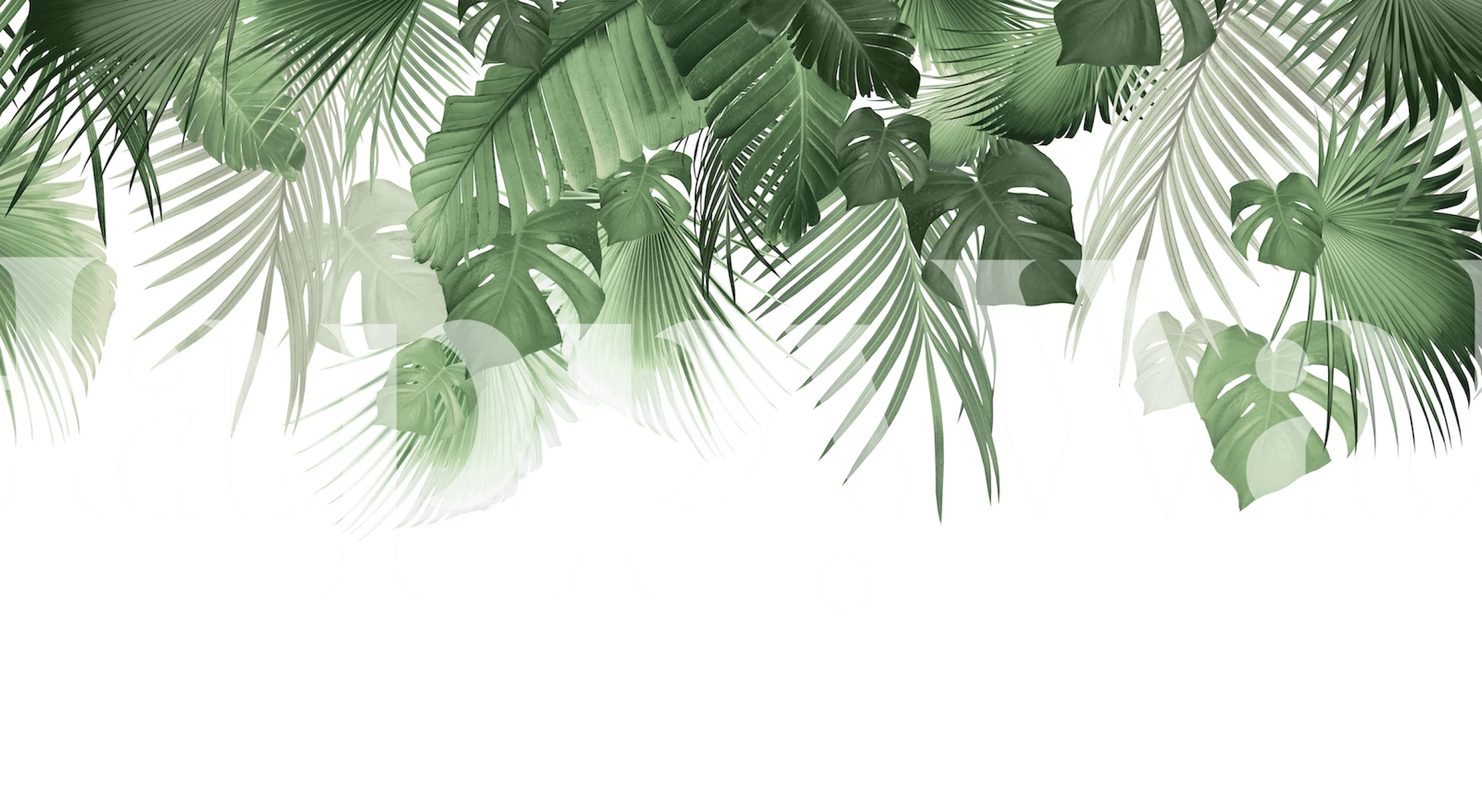 Tropical palm leaves in green shades wallpaper