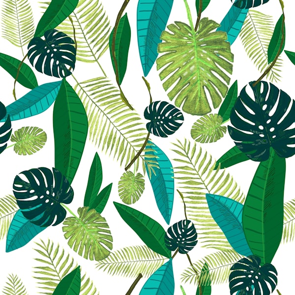 Tropical green leaves
