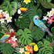 Tropical forest and birds