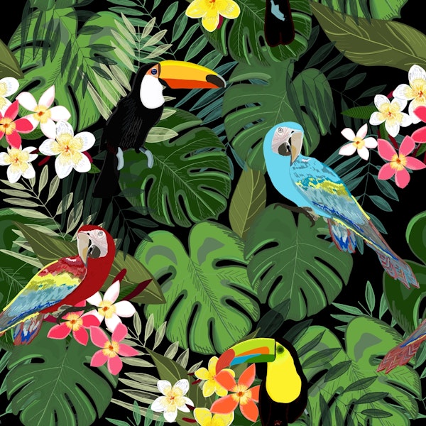 Tropical forest and birds