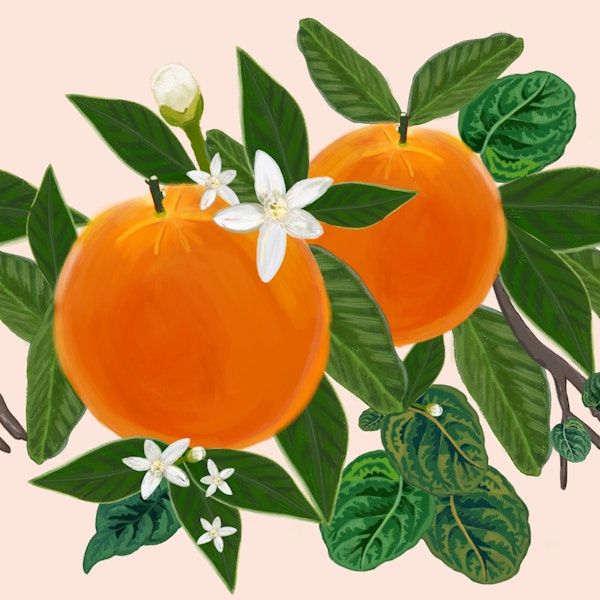 Orange And Flowers