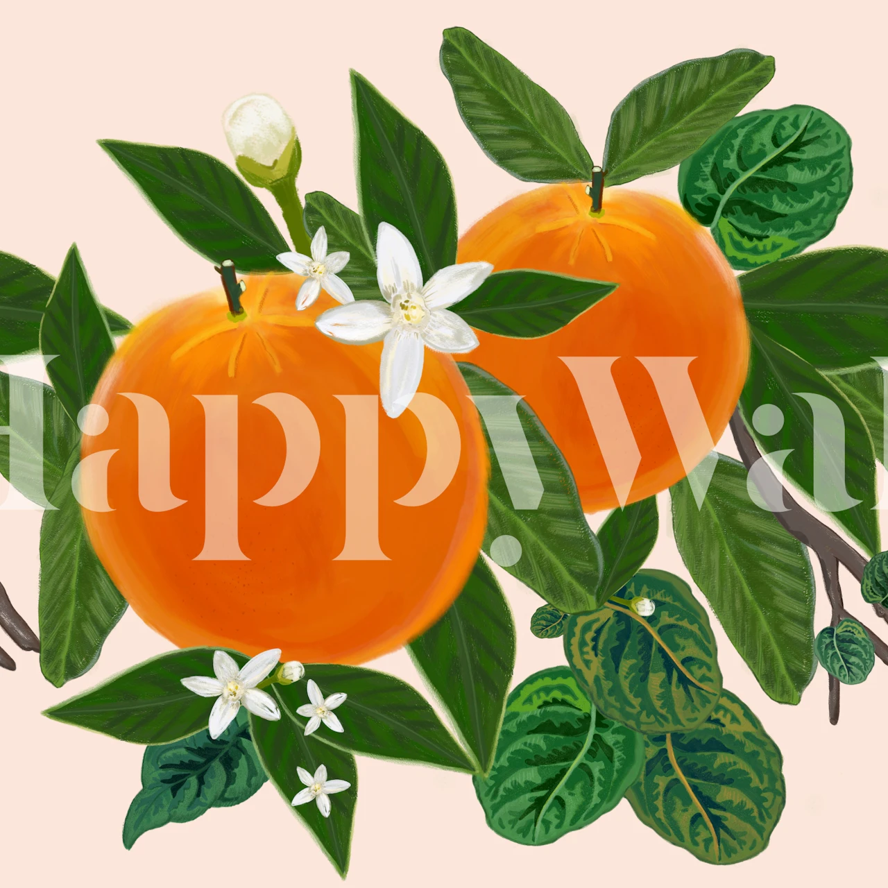 Orange oranges with white flowers and green leaves wallpaper