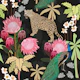 Tiger and peacock black