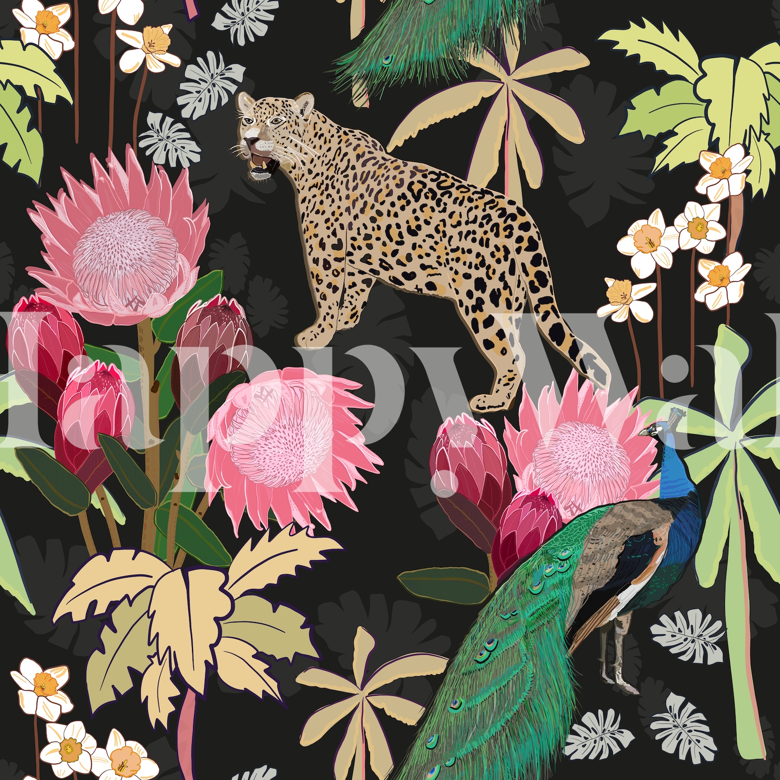 Tiger and Peacock Black Wallpaper - Buy Online | Happywall