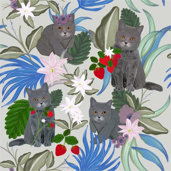 Cats with strawberries