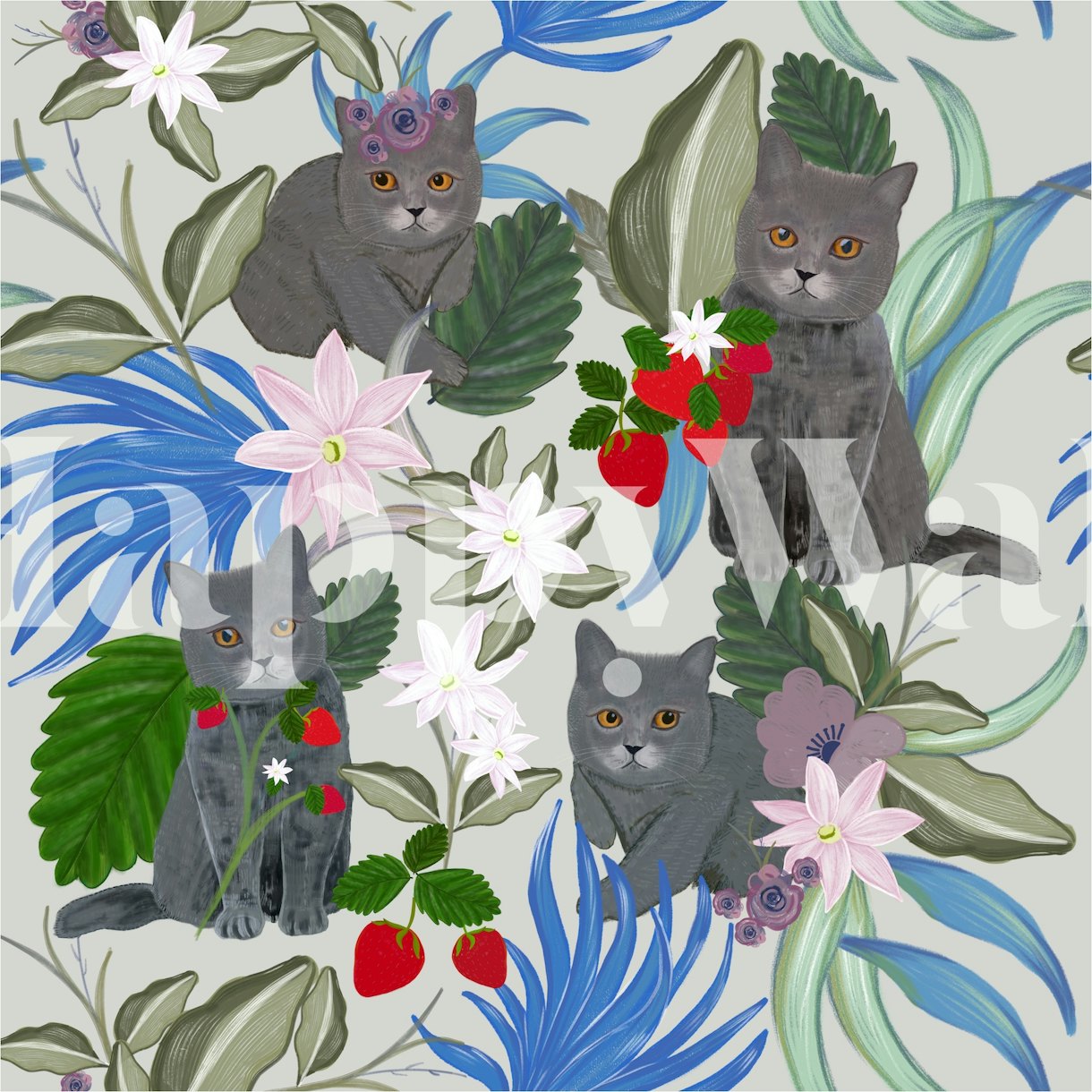 Cats with Strawberries Wallpaper Happywall