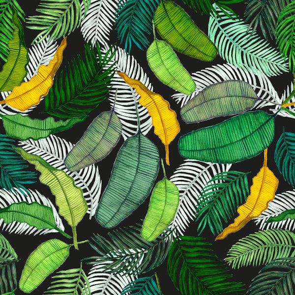 Watercolor hand drawn tropical