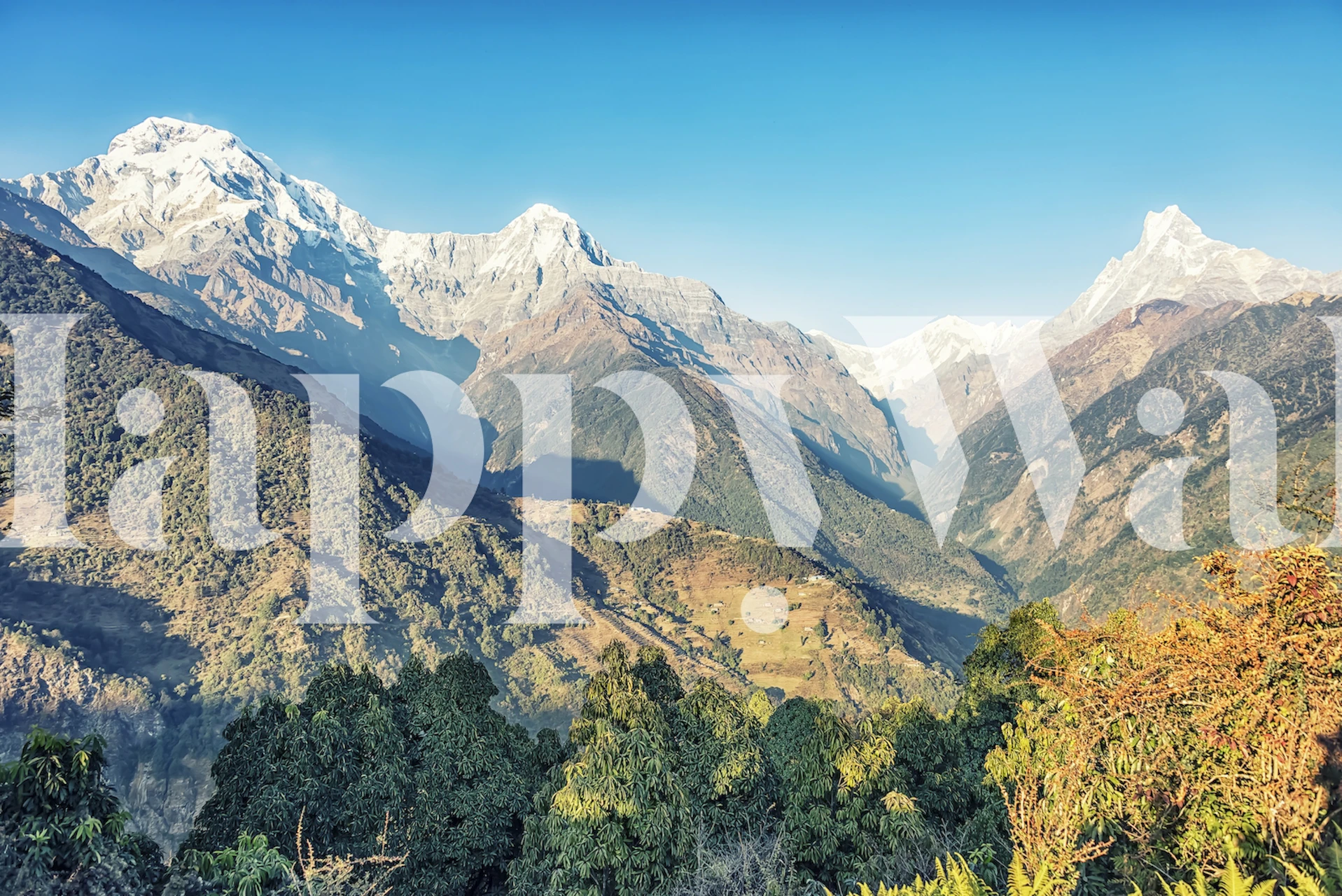 Himalayan landscape wallpaper in a room