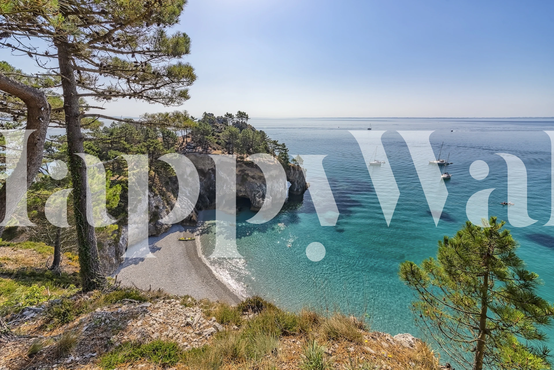 Virgin Island wallpaper in a beautifully styled room