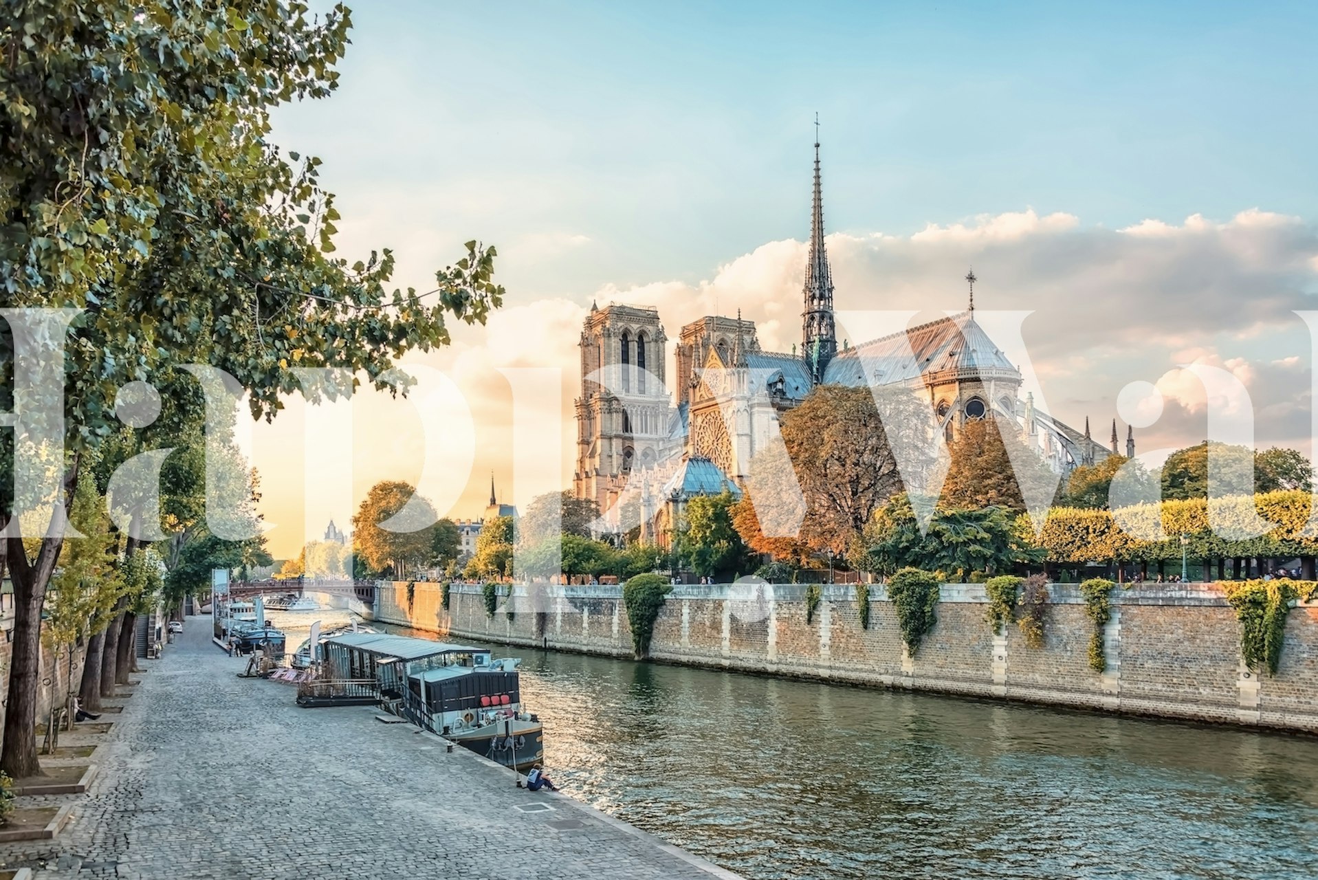 Mural de pared Catedral de Notre Dame al atardecer con el río Sena en París