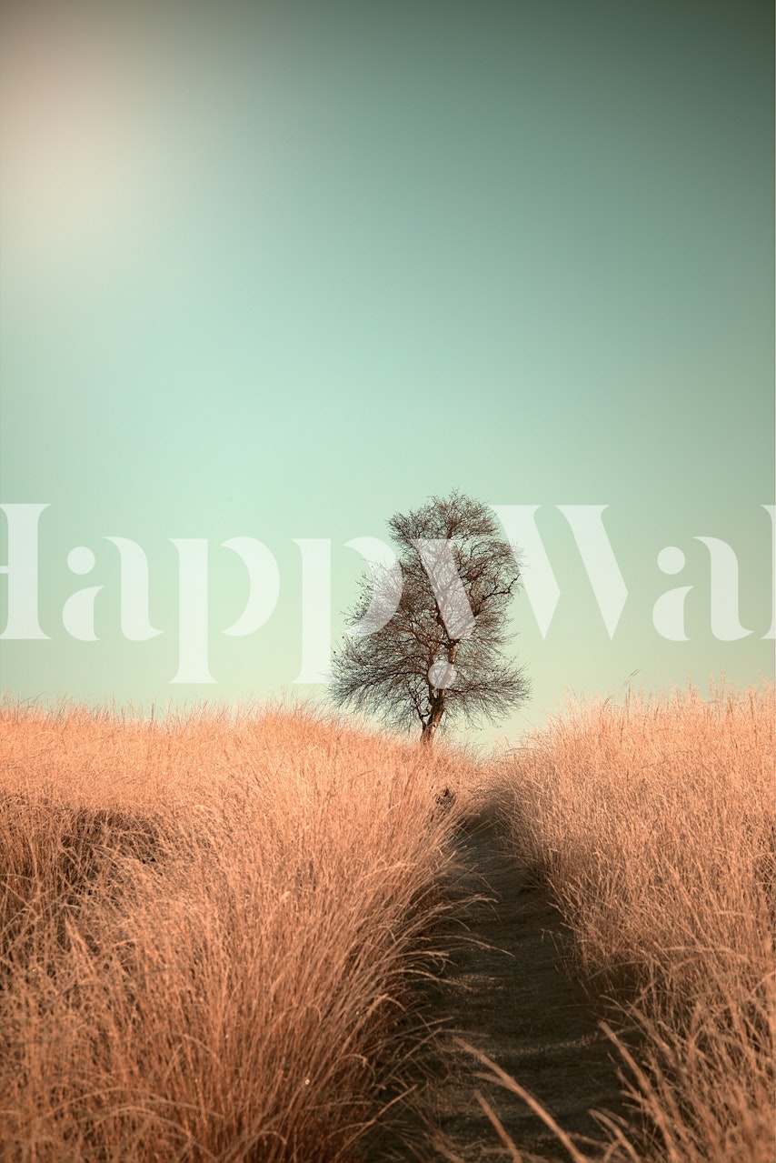 Grass and path wallpaper in a room