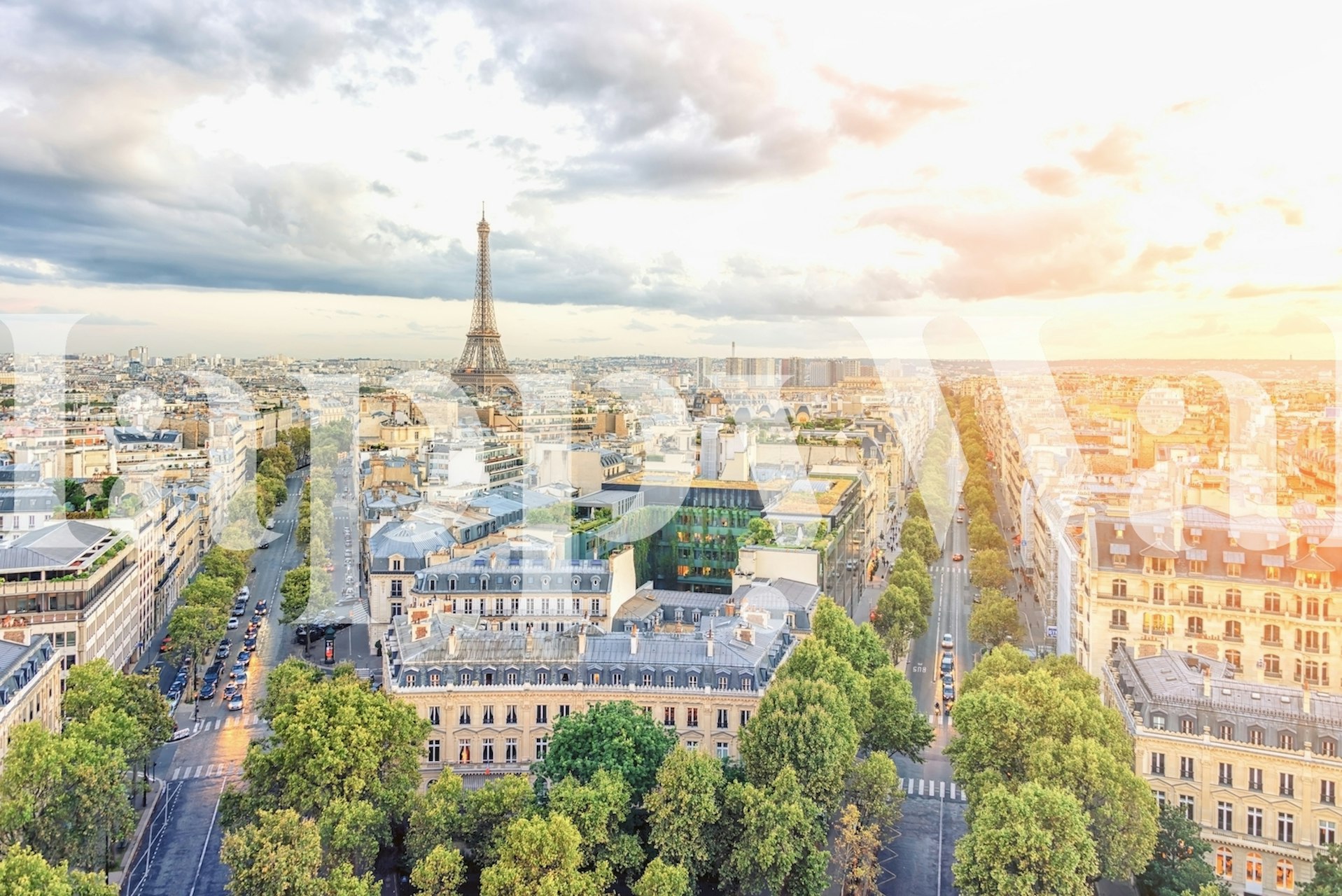 Sunlight in Paris wallpaper in a room