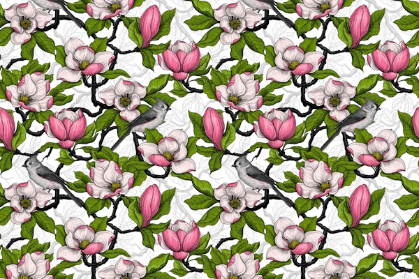 Blooming magnolia and bird