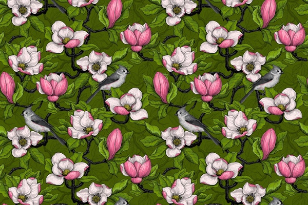 Blooming magnolia and bird 2