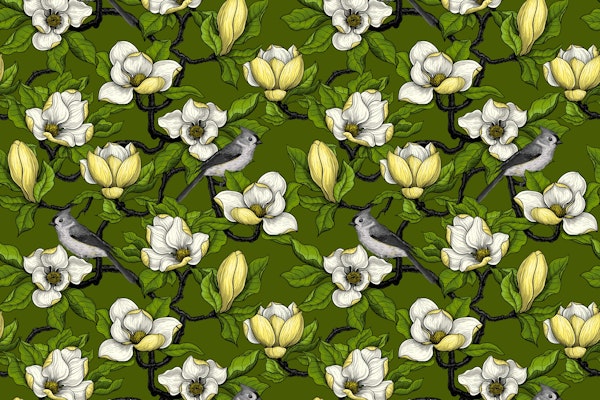 Blooming magnolia and bird 3