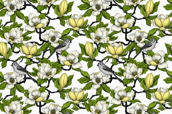 Blooming magnolia and bird 4