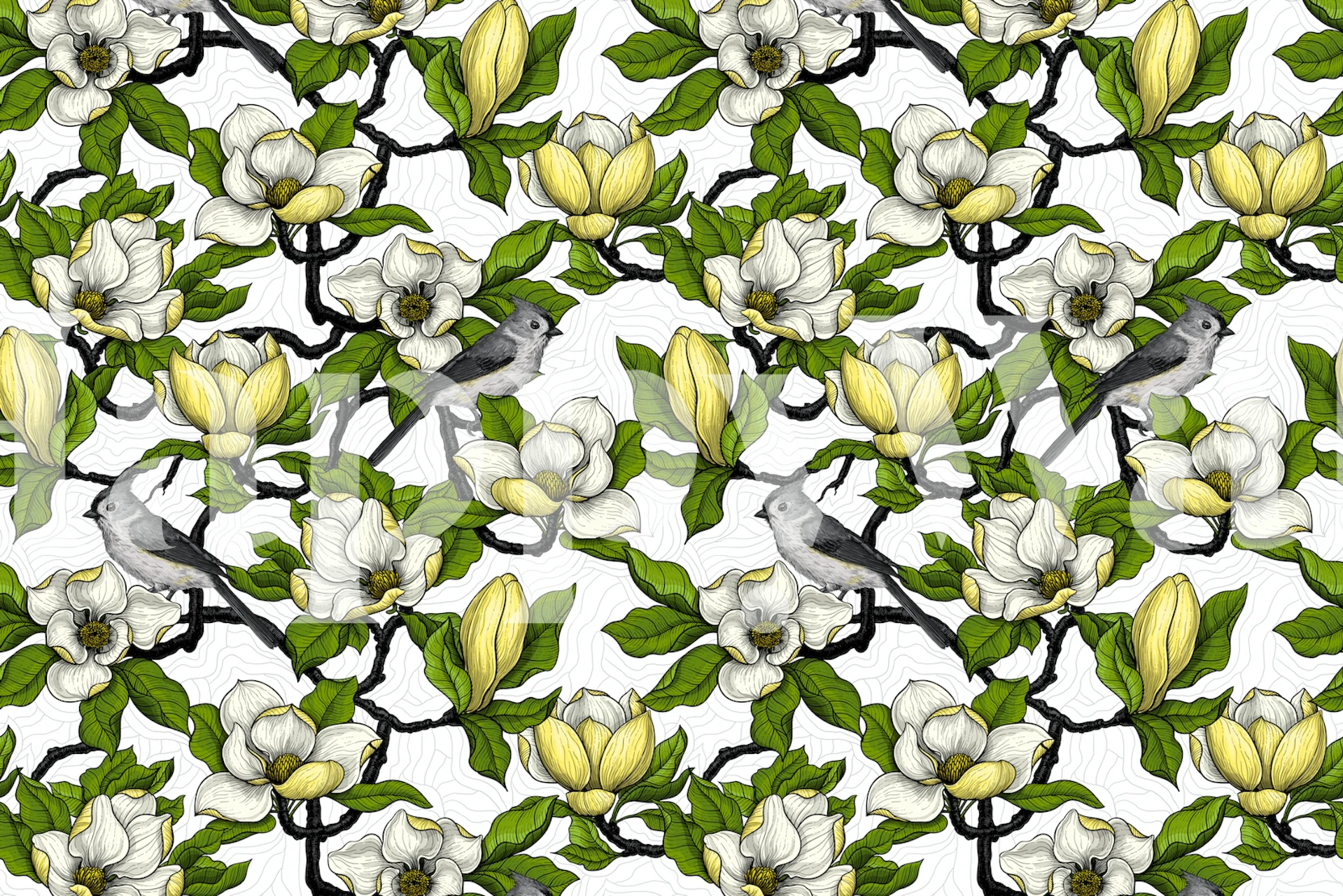 Blooming magnolia ja lintu tapetti