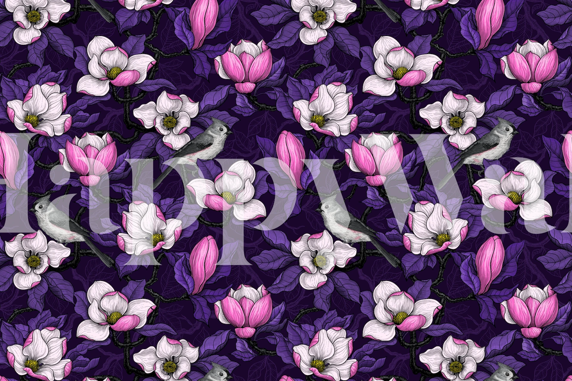 Blooming magnolia ja lintu tummalla tapetilla