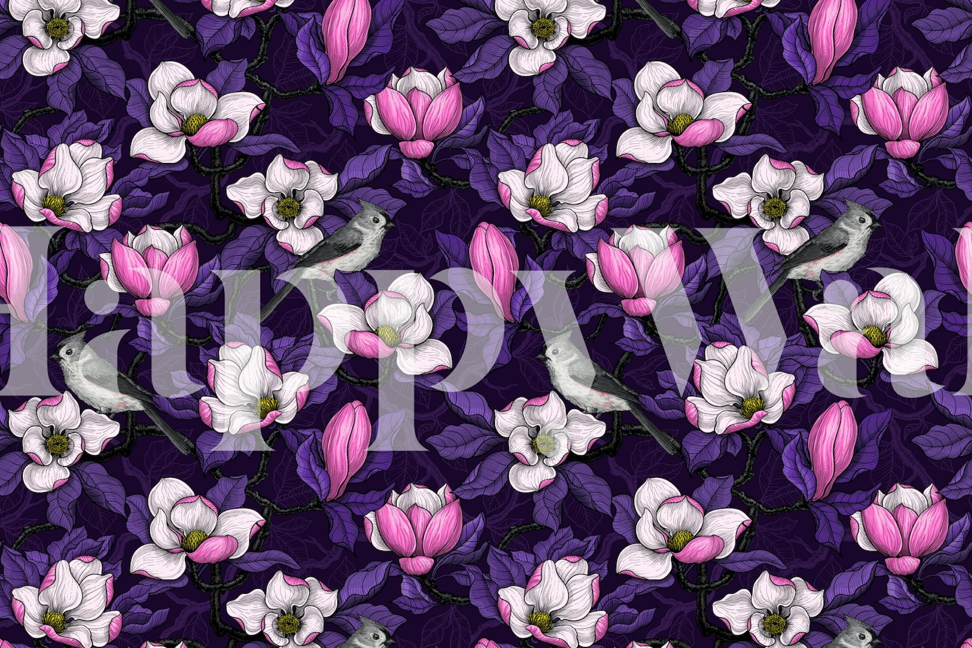 Blooming magnolia i ptak na ciemnej tapecie