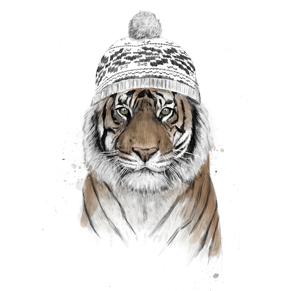 Siberian tiger
