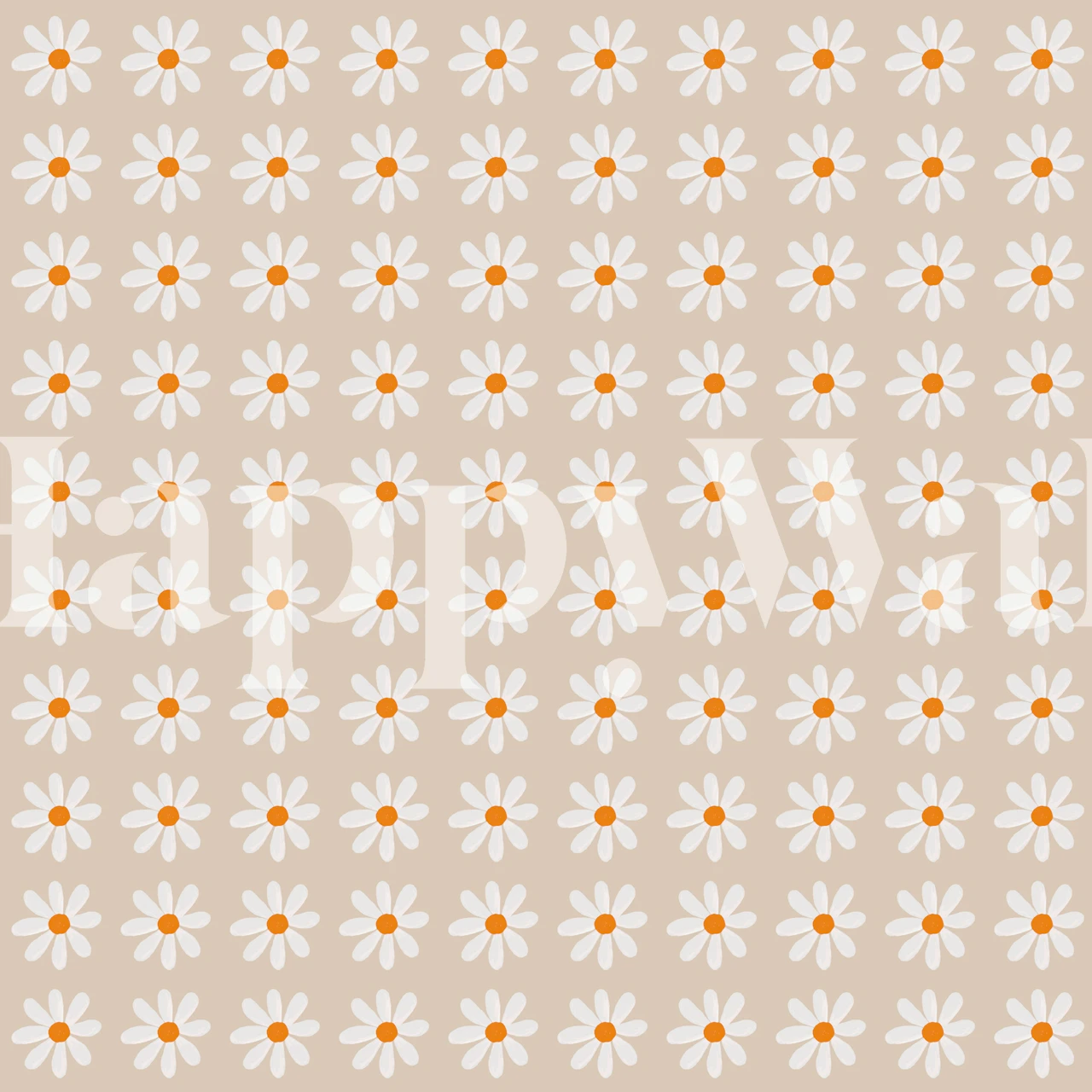 Pattern of white daisies with orange centers on beige background wallpaper