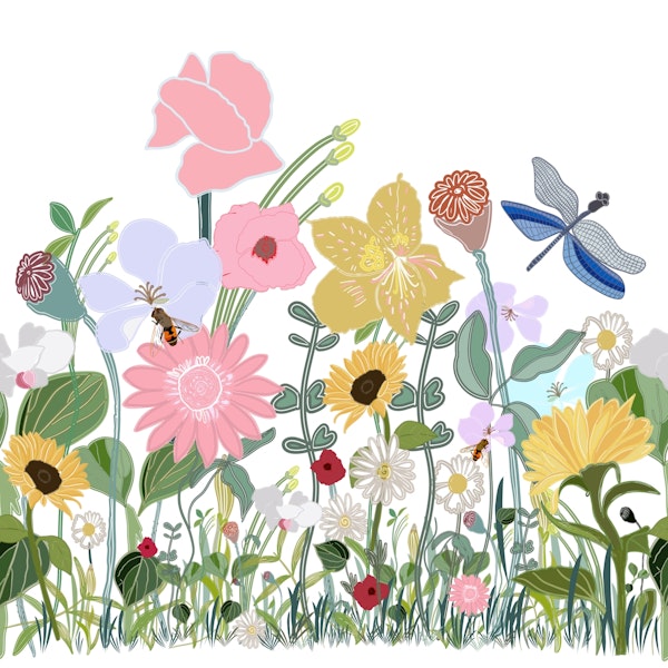 Garden border design