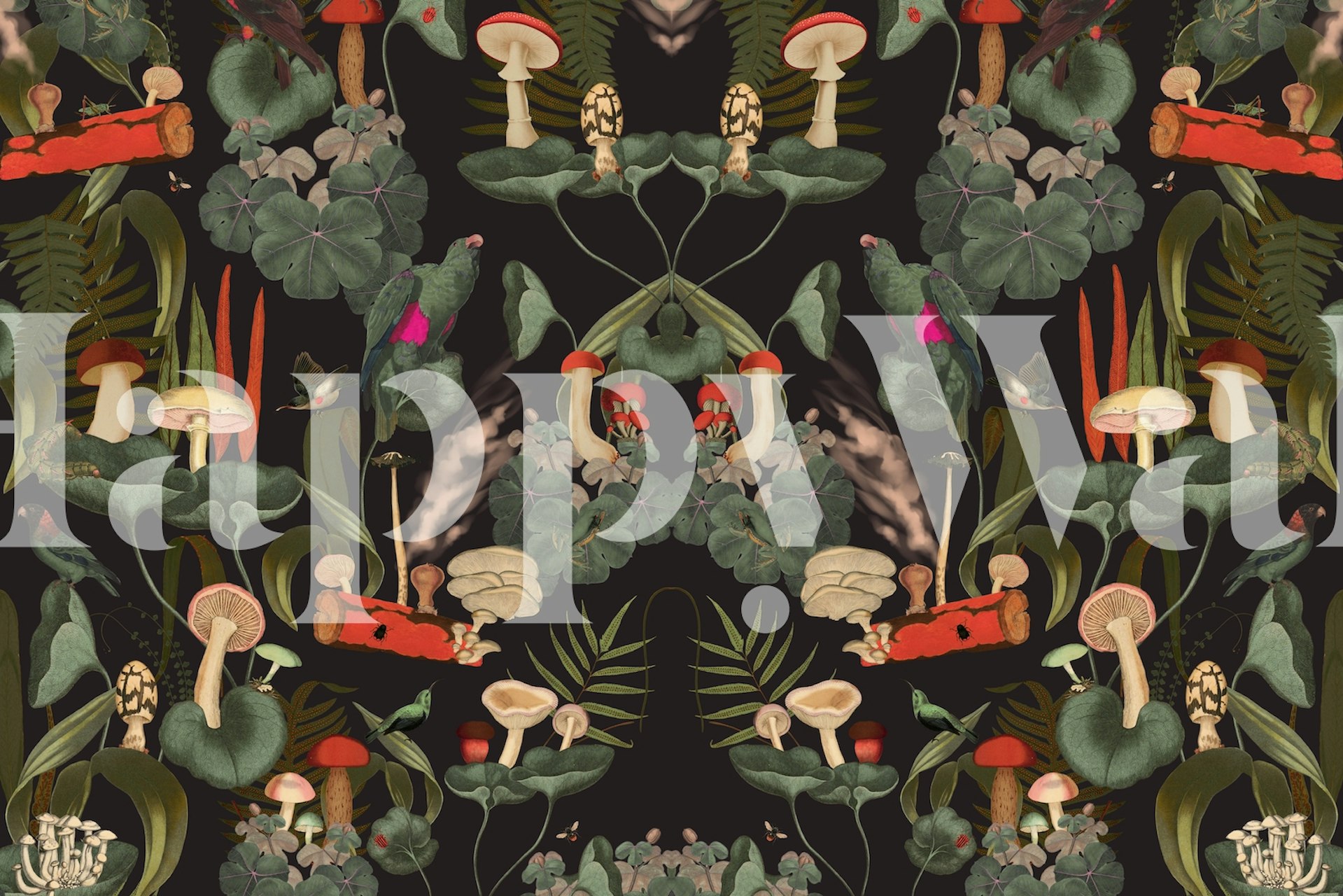 Colorful botanical mushrooms and plants on dark background wallpaper