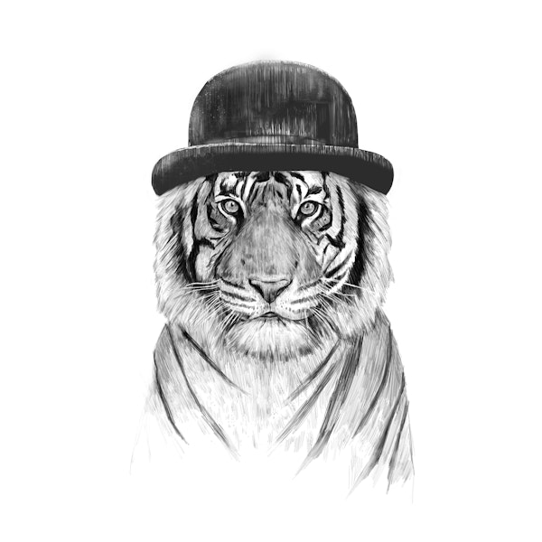 Welcome to the jungle II