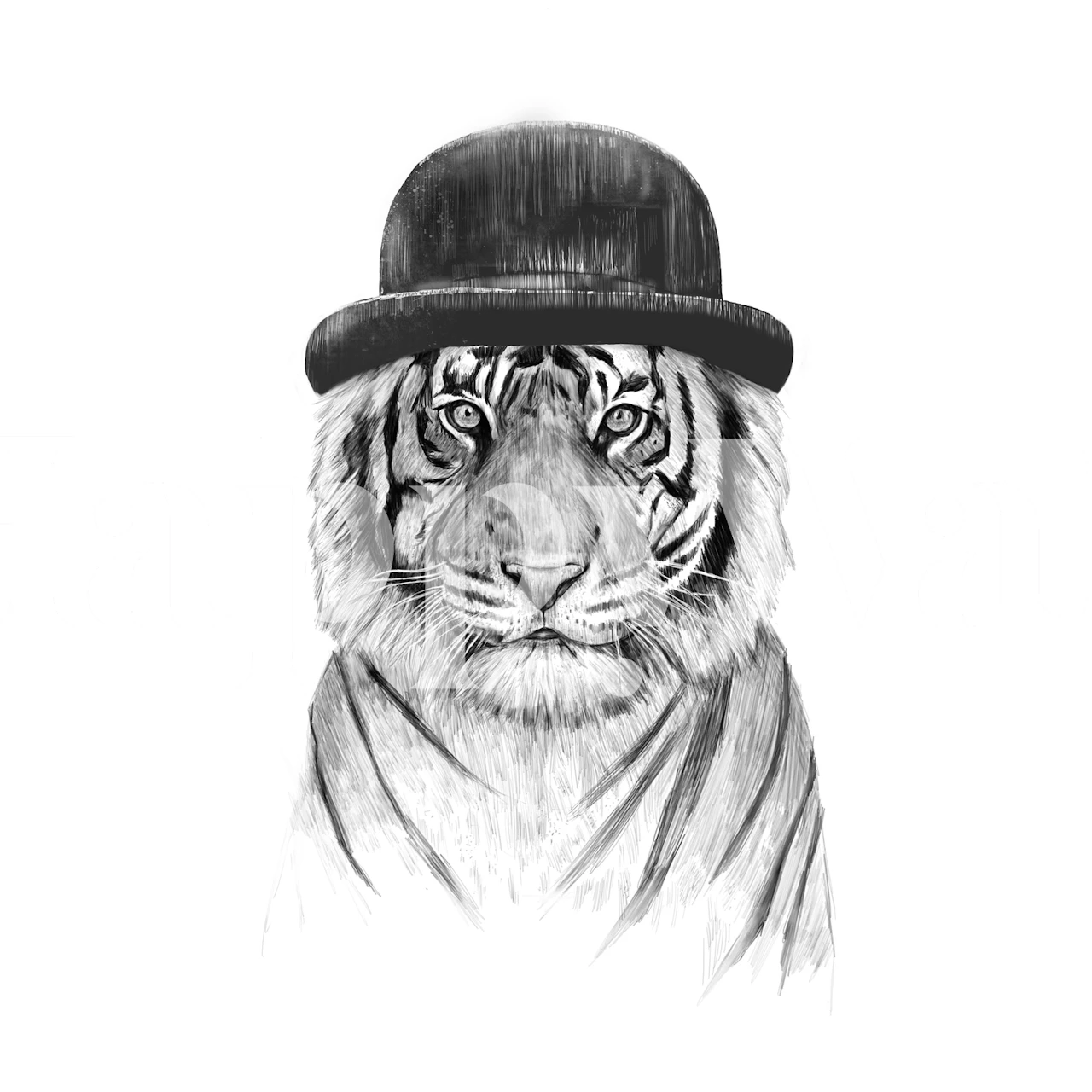 Czarno-biała fototapeta Tygrys w kapeluszu