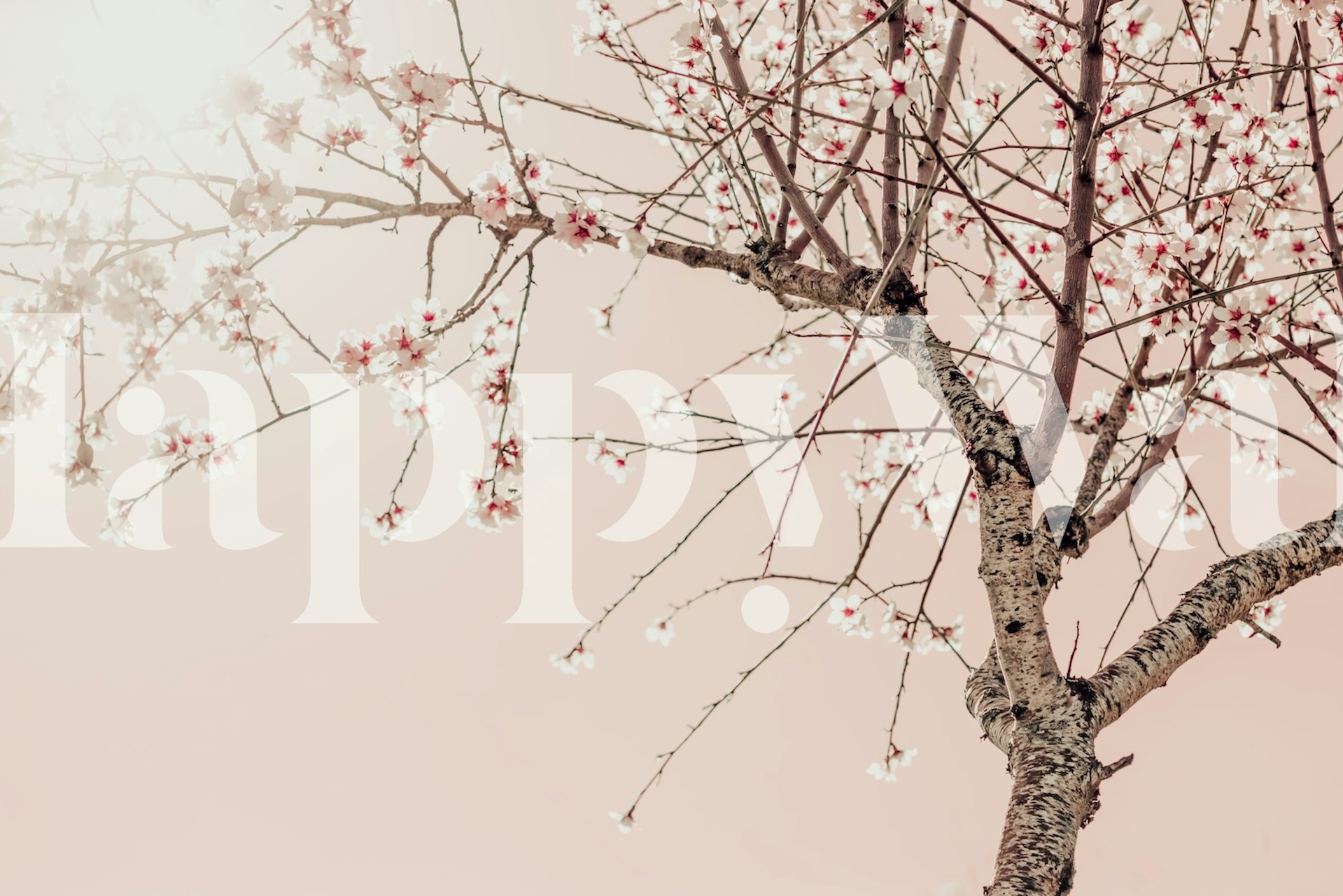 Tree Spring Blossom Flowers tapet i rum