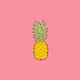 Pink Flamingo Pineapple Rose