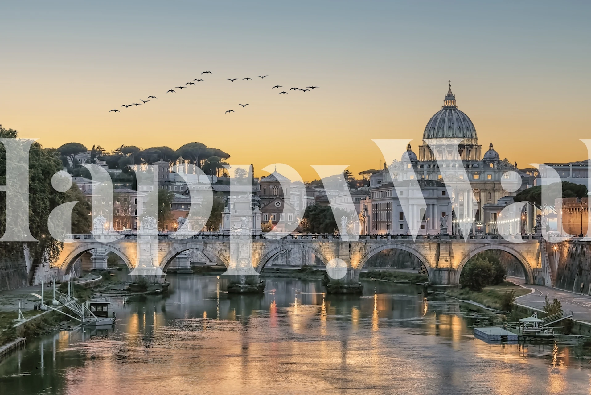 A flock of birds tapet i ett rum