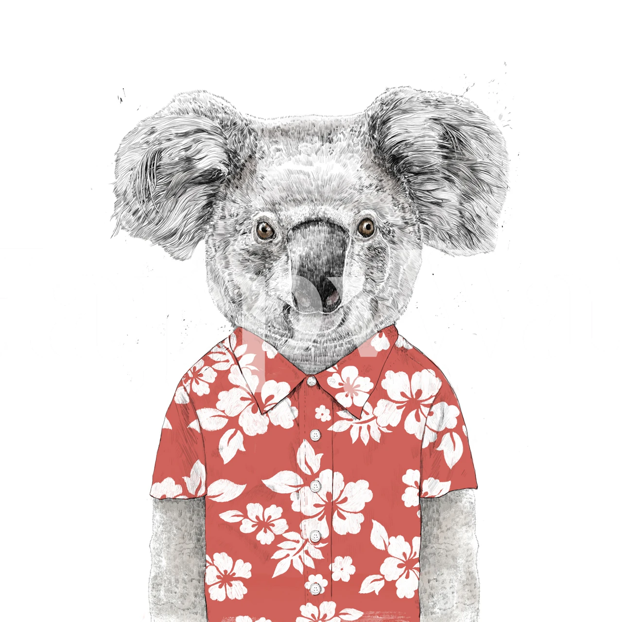 Koala in a floral shirt, gray colors, cartoon-style wallpaper