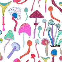 Magical mushrooms tapete