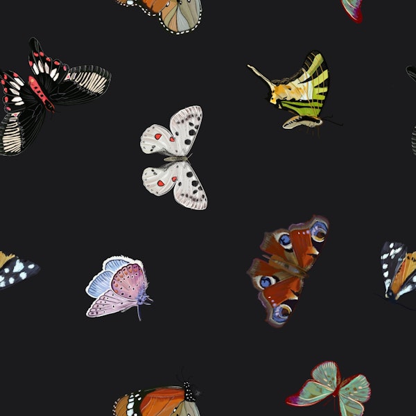 Butterflies dark