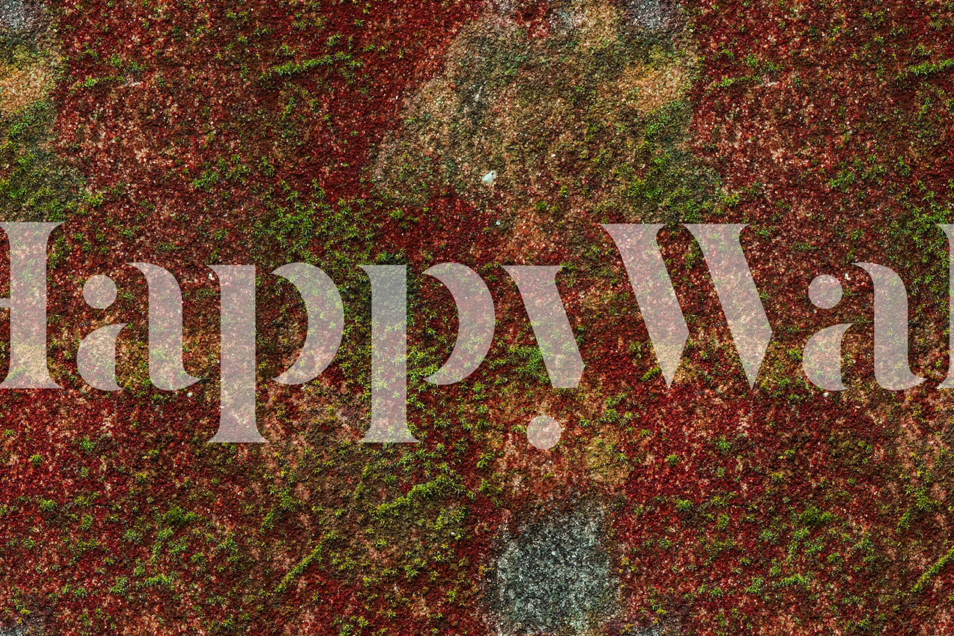 Red and green moss texture wallpaper in natural style