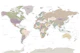 Detailed World Map