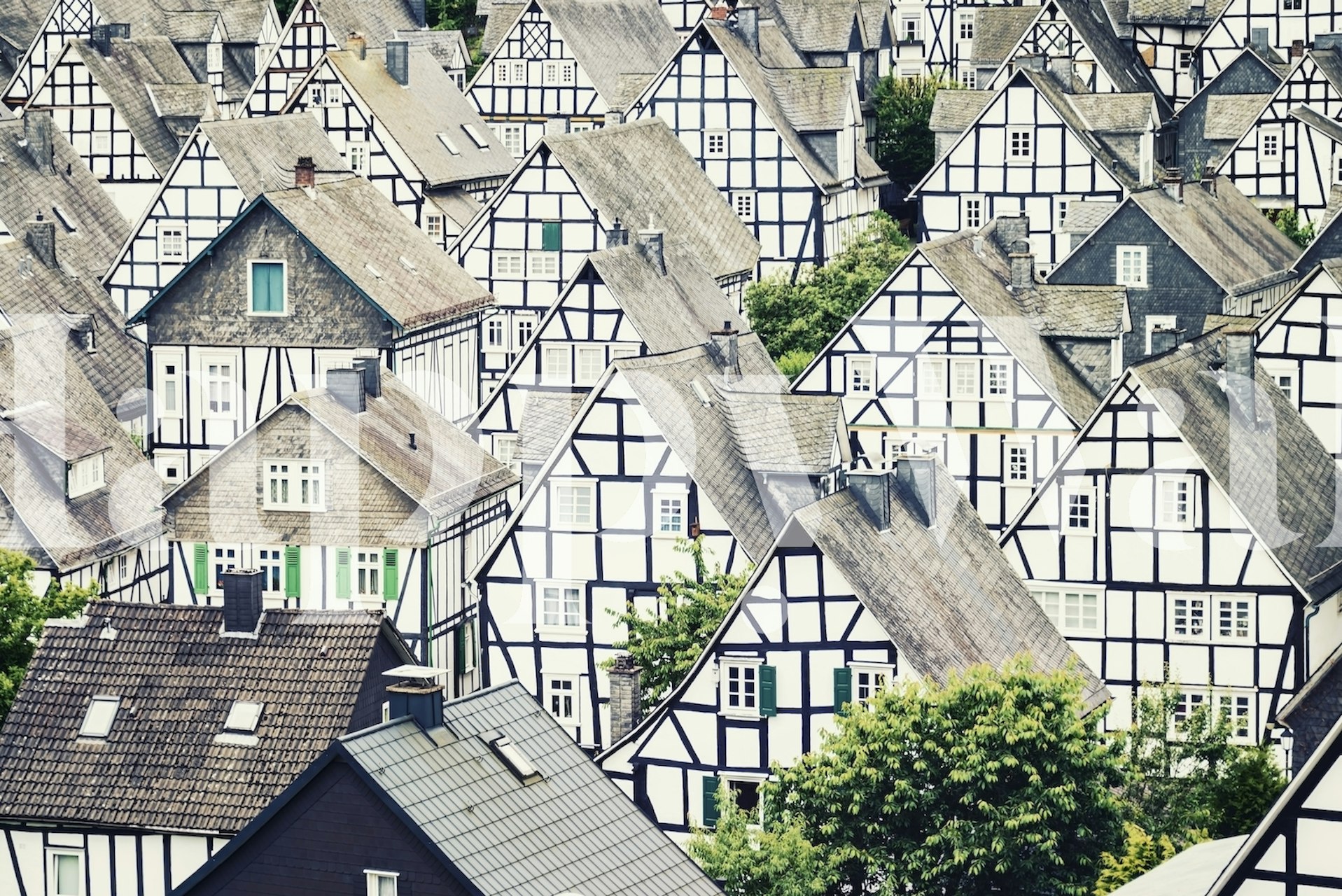 Freudenberg village wallpaper design