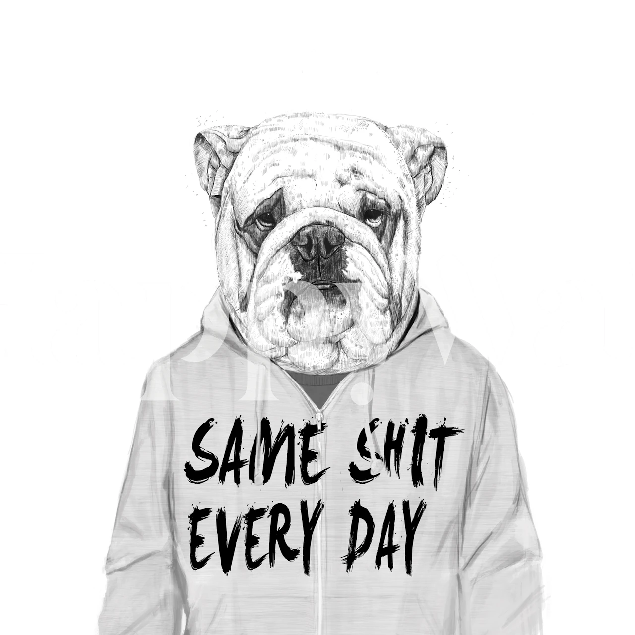 Bulldog design with text saying 'Same Shit Every Day' wallpaper