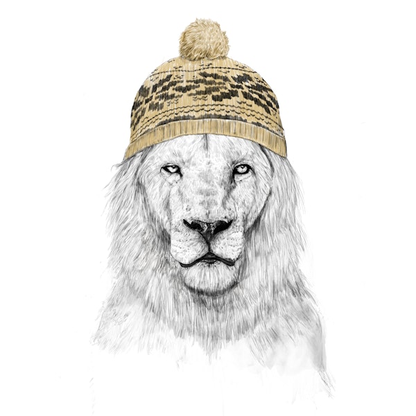 Winter lion