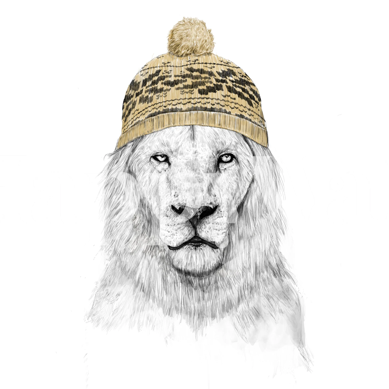 Tapet med en vinterlion i en mössa