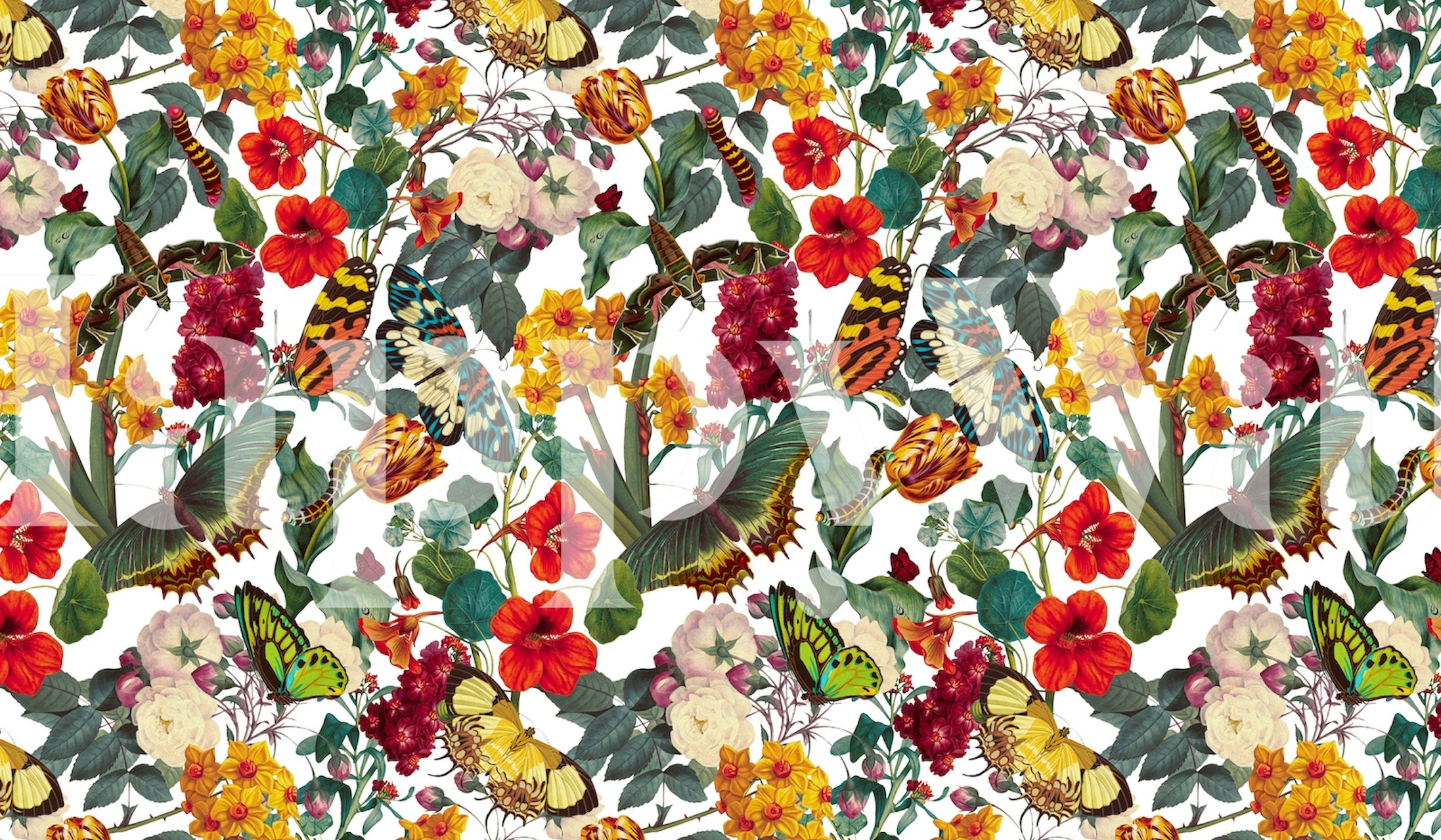 Butterflies and flowers in vivid colors on white wallpaper