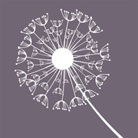 Dark Brown Dandelion accent tapete