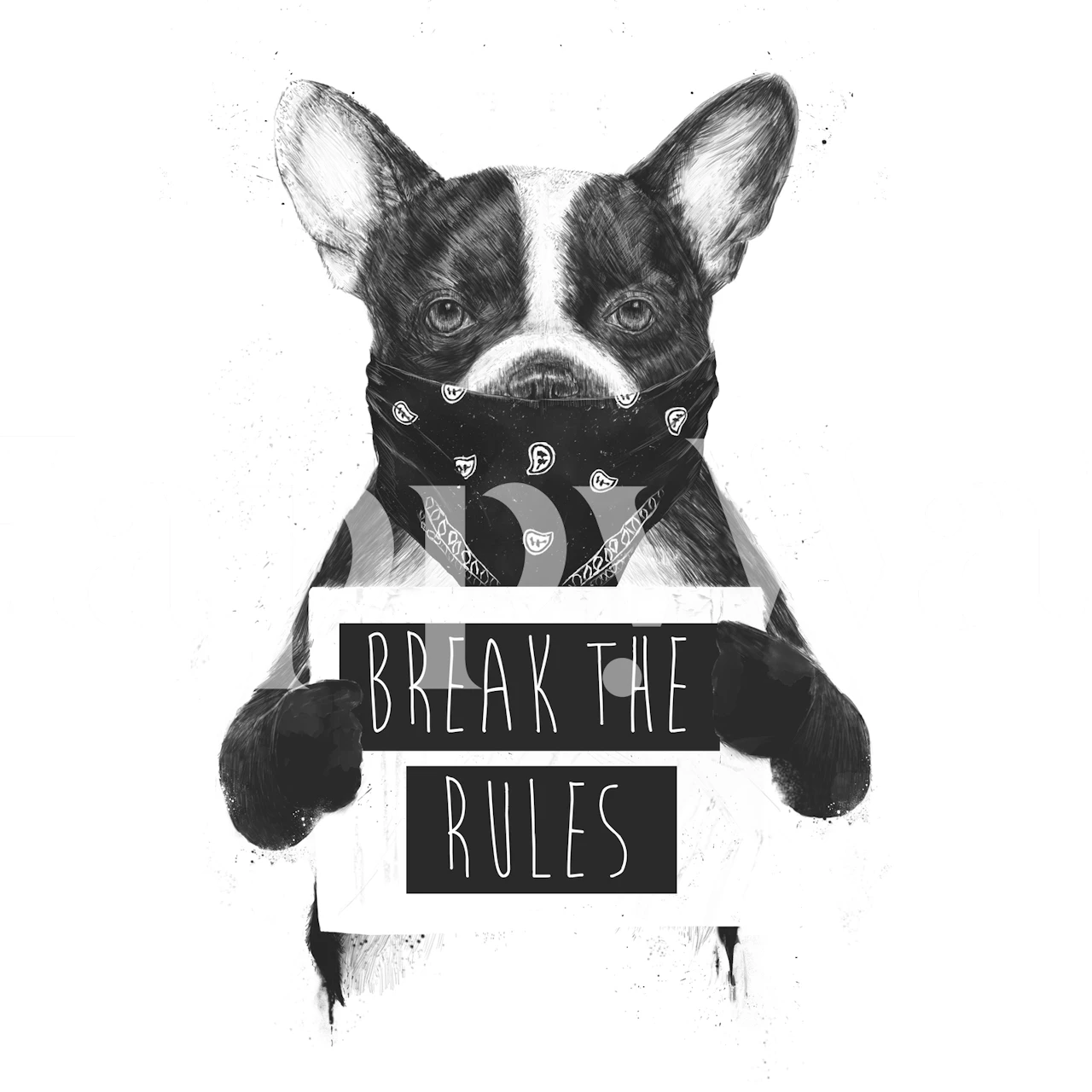 Dog wearing a bandana with the text 'Break the Rules' black and white wallpaper